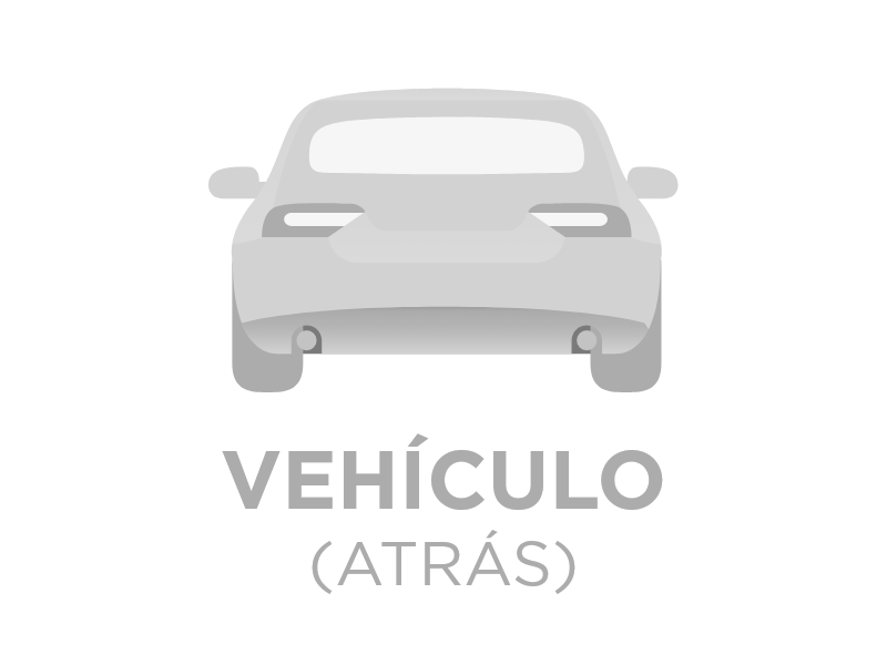 Vehiculo Atras